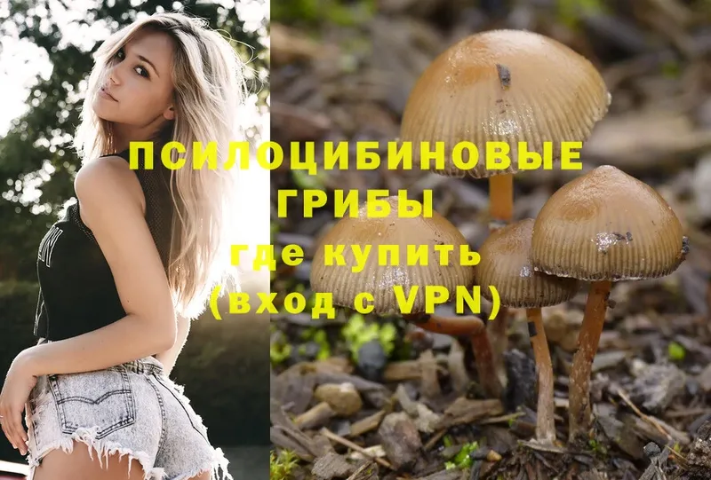 Галлюциногенные грибы MAGIC MUSHROOMS  Суоярви 